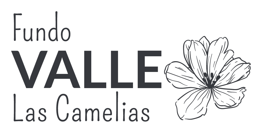 Fundo Valle Las Camelias