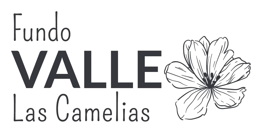 Fundo Valle Las Camelias